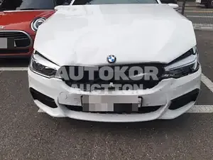 2020, BMW / 520, VIN: WBAJK9103LCE88154, gas