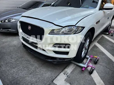 2017, Jaguar / F-Pace, VIN: SADCA2BN7HA048975, 105258 км., diesel