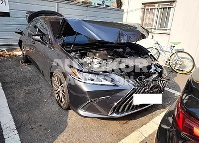2022, Lexus / ES 300, VIN: JTHBA1C11N2007419, hybrid