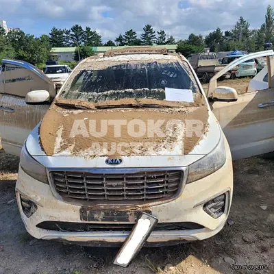 2019, Kia / Carnival, VIN: KNAME81ABKS598969, 50000 км., diesel