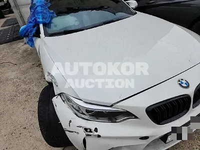 2016, BMW / M2, VIN: WBS1H910XGV796164, 86701 км., gas, 2979 куб.см.