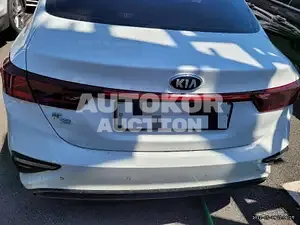 2019, BMW / Z1, VIN: KNAF241BEKA858237, gas
