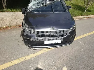 2020, Kia / Carnival, VIN: KNAMC81ABLS664335, diesel