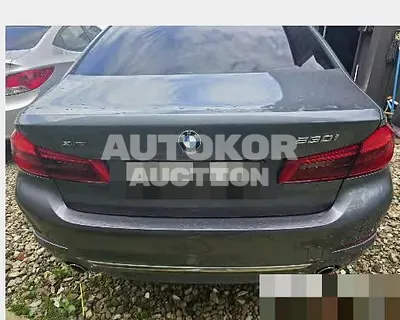 2020, BMW / 530, 50744 км., gas, 1998 куб.см.