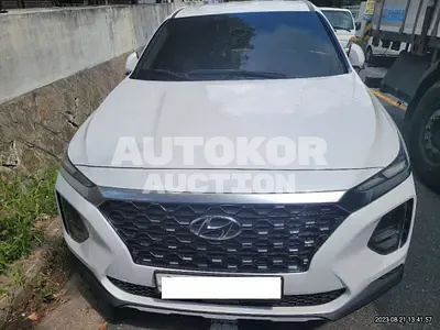 2019, Hyundai / Santa FE, VIN: KMHS381BBKU036493, diesel