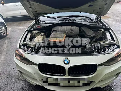 2015, BMW / 320, 93696 км., diesel