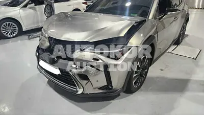 2019, Lexus / UX 250, VIN: JTHU9JBH1K2001034, hybrid