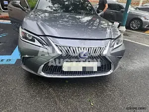2019, Lexus / ES 300, VIN: JTHB21B17K2066050, 110000 км., hybrid