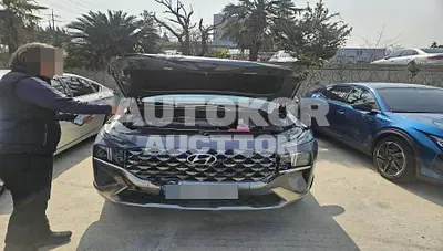 2023, Hyundai / Santa FE, 31718 км., hybrid, 1598 куб.см.