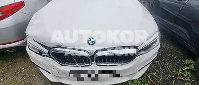 2020, BMW / 530, VIN: WBAJR9101LWW55862, gas