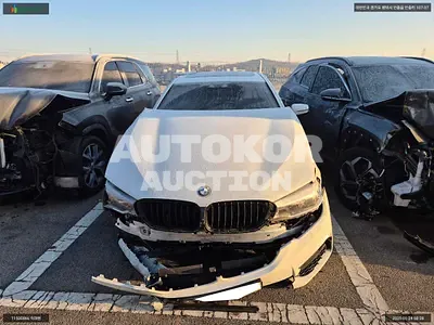2017, BMW / 520, VIN: WBAJC5107HWB83770, diesel
