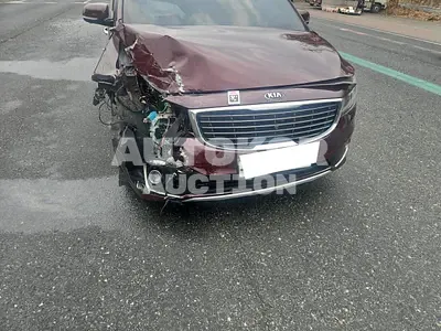 2015, Kia / Carnival, VIN: KNAME81ABFS081226, 224365 км., diesel, 2199 куб.см.