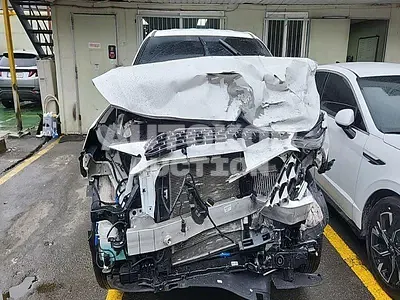 2021, Hyundai / Santa FE, VIN: KMHS281HGMU415267, 29671 км., diesel, 2200 куб.см.