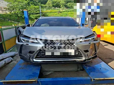 2020, Lexus / ux250h, 89632 км., hybrid