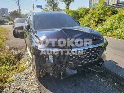 2019, Hyundai / Santa FE, VIN: KMHS381ABKU043304, gas