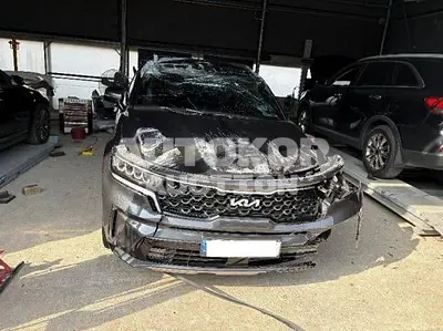 2023, Kia / Sorento, 24811 км., gas, 2500 куб.см.
