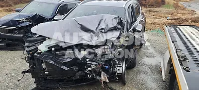 2019, Hyundai / Santa FE, VIN: KMHS281CBKU047573, diesel
