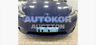 2022, Tesla / Model Y, VIN: 7SAYGDEE4NF502368, 60352 км., electric
