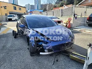 2022, Tesla / Model 3, 10000 км., electric, 360 куб.см.