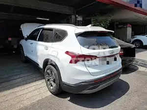 2020, Hyundai / Santa FE, VIN: KMHS381HGMU317830, 50623 км., diesel, 2151 куб.см.