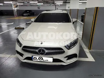 2021, Mercedes-Benz / CLS 450, VIN: W1K2J5KB4MA088042, 45000 км., gas