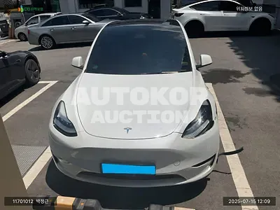 2022, Tesla / Model Y, VIN: 7SAYGDEE8NF415251, electric