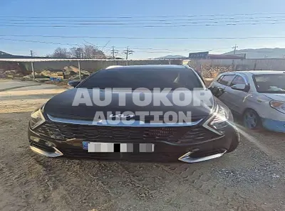2024, Kia / Sportage, 31317 км., gas, 1598 куб.см.