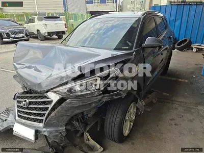 2019, Hyundai / Tucson, VIN: KMHJ381ABLU158452, diesel