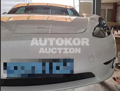 2023, Tesla / Model Y, electric, 173 куб.см.