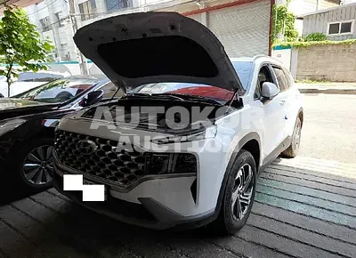 2021, Hyundai / Santa FE, VIN: KMHS381HGMU317830, 50623 км., diesel
