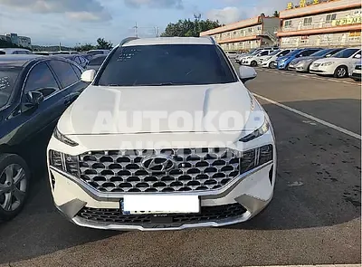 2021, Hyundai / Santa FE, VIN: KMHS381HGMU315041, 36450 км., diesel