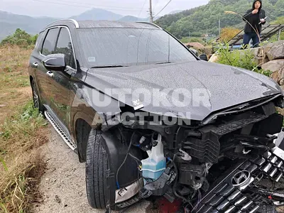 2023, Hyundai / Palisade, VIN: KMHR581ABPU618098, 38901 км., diesel
