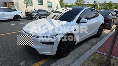 2025, Tesla / Model Y, VIN: LRWYGCFJ9SC228870, 17830 км., electric, 1 куб.см.