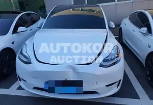 2022, Tesla / Model Y, electric