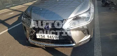 2018, Lexus / NX 300, VIN: JTJBJRBZ7J2081457, 58498 км., hybrid