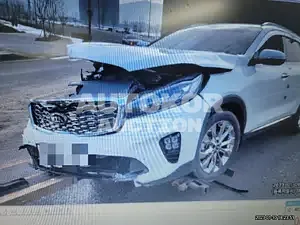 2019, Kia / Sorento, VIN: KNAPS81ABLA625226, 80000 км., diesel