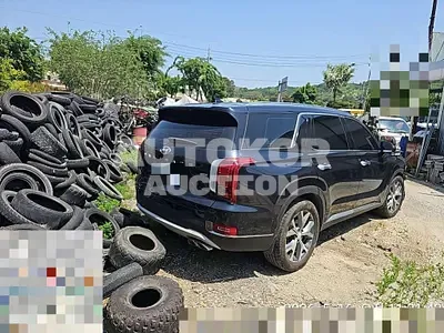2019, Hyundai / Palisade, 160000 км., gas, 3800 куб.см.