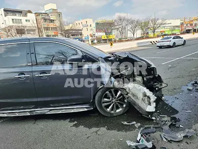 2016, Kia / Carnival, VIN: KNAME81ABGS184474, gas