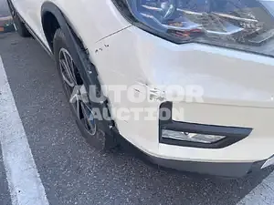 2019, Nissan / X-Trail, unknown