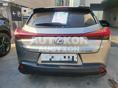 2019, Lexus / UX 250, VIN: JTHU9JBH0K2001137, hybrid