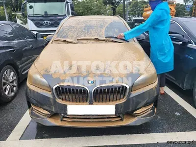 2021, BMW / 2 Series Gran Tourer, VIN: WBA6T9106M7G92945, diesel