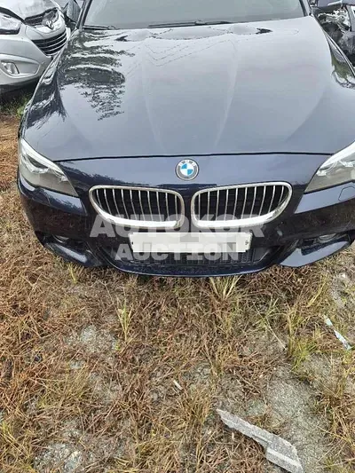 2016, BMW / 528, 156135 км., gas