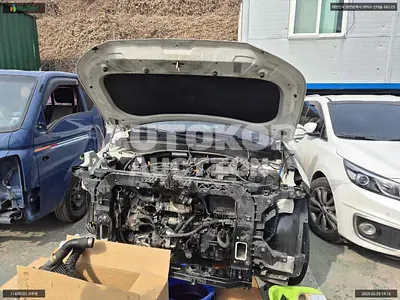 2020, Hyundai / Palisade, VIN: KMHR381ADLU117810, 311714 км., diesel