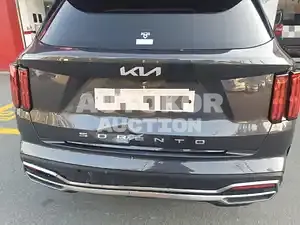 2021, Kia / Sorento, VIN: KNARL81BGNA130746, diesel