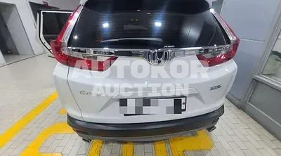 2019, Honda / CR-V, gas