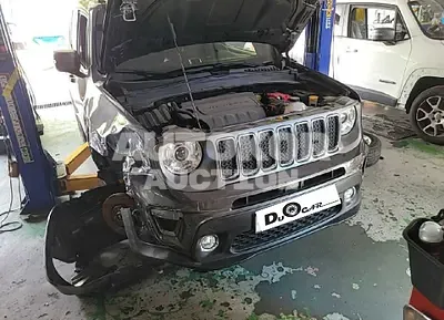 2019, Jeep / Renegade, VIN: 1C4BU0000KPK37834, 13542 км., gas