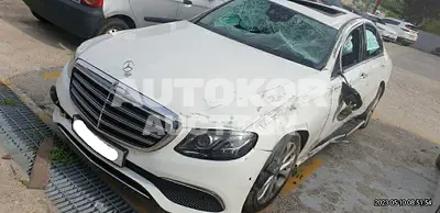 2018, Mercedes-Benz / E 220, VIN: WDDZF0FB8JA388675, diesel