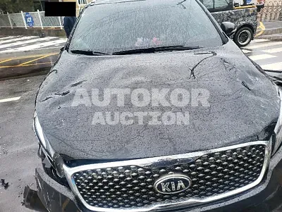 2017, Kia / Sorento, VIN: KNAPS81ABHA319110, diesel