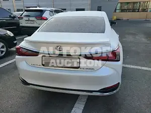2021, Lexus / ES 300, VIN: JTHBA1C16M2001629, 16484 км., hybrid