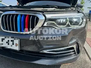 2018, BMW / 520, unknown